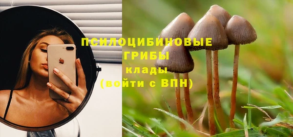 MDMA Premium VHQ Кодинск