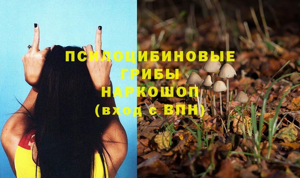 не бодяженный Нефтекумск