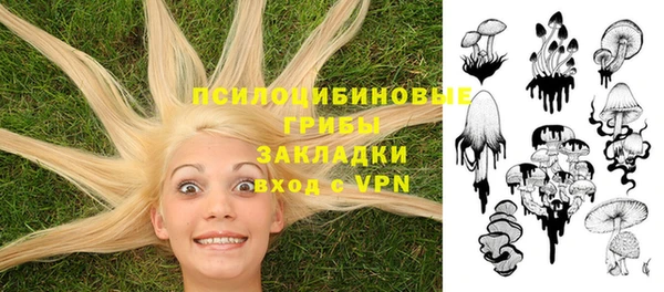 PSILOCYBIN Алзамай